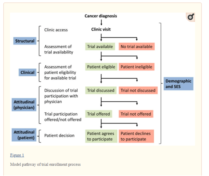 model pathway of oncology trial enrollment process